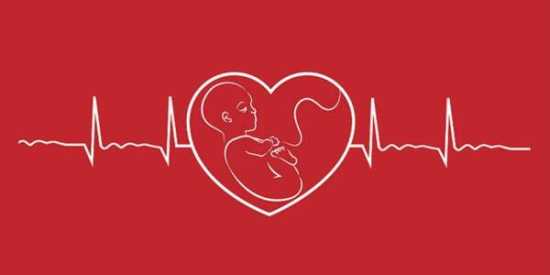 عکس, آخرین هفته ای که امید تشکیل قلب جنین است هفته چندم است