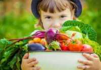 عکس درمان روانشناسی کودکان بد غذا و بی اشتها و لجباز