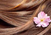 عکس درمان ریزش موی ارثی با کافئین روغن نعناع و ماساژ