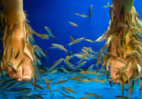 عکس گذاشتن پاها در حوضچه پر ماهی برای پدیکور ممنوع