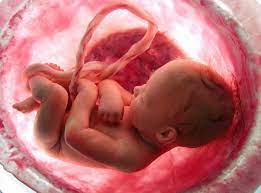 عکس, ضررهای استرس مادر روی جنین او به خصوص جنین پسر
