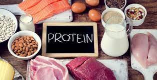 عکس, میزان پروتئین مورد نیاز خانم ها و منابع پروتئین گیاهی و حیوانی