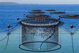 عکس, فوت و فن های پرورش ماهی در قفس