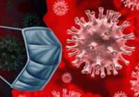 عکس خوارکی های بالا برنده ایمنی بدن در برابر کرونا و آنفولانزا
