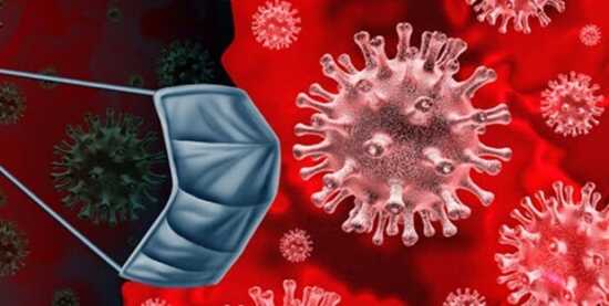 عکس, خوارکی های بالا برنده ایمنی بدن در برابر کرونا و آنفولانزا