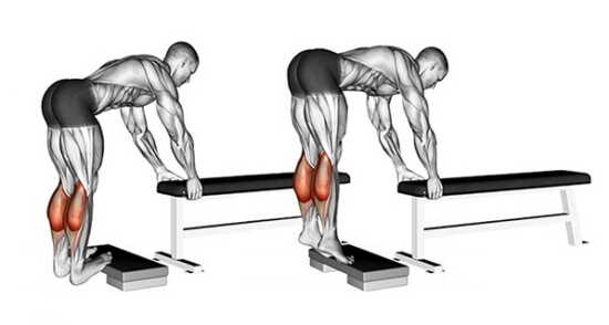 عکس, سه حرکت فوق العاده بدنسازی برای حجم گرفتن و تقویت ساق پاها