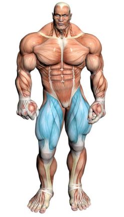 عکس, یک تمرین عالی بدنسازی برای عضلات همسترینگ