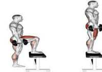 عکس چطوری با استپ و دمبل عضلات پایین تنه را بسازیم