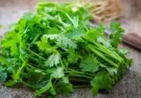 عکس بهترین سبزی برای درمان ریزش مو ناشی از کم خونی و کمبود ویتامین
