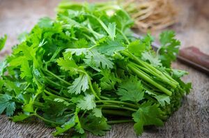عکس, بهترین سبزی برای درمان ریزش مو ناشی از کم خونی و کمبود ویتامین