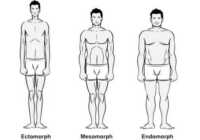 عکس آموزش استایل شناسی و مدل بدن برای شروع بدنسازی