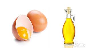 عکس, روغن زرده تخم مرغ روش تهیه و روش مصرف برای طاسی