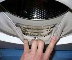 عکس, روش تمیز کردن کپک ماشین لباسشویی و بوی بد آن برای خانه تکانی