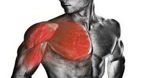 عکس, فیلم آموزشی تمرین بدنسازی برای قوی کردن سینه مردان