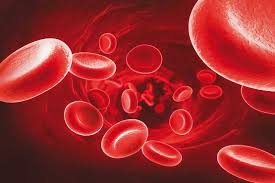 عکس, بهترین غذا برای درمان کمبود پلاکت خون