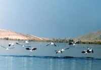 عکس دیدنی ترین عکسها از دریاچه ارژن