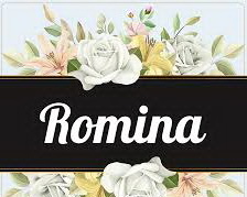 عکس, پروفایل های شیک با اسم رومینا