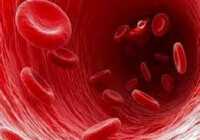 عکس سوال و جواب های مهم درباره گلبول قرمز خون