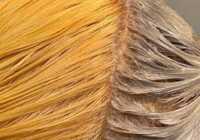 عکس راه های از بین بردن موهای نارنجی شده با رنگ مو