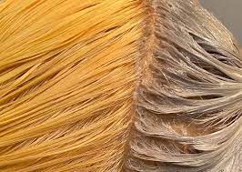 عکس, راه های از بین بردن موهای نارنجی شده با رنگ مو