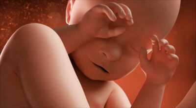 عکس, وضعیت انقباضهای واقعی در هفته سی‌ و نه بارداری