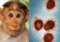 عکس واکسن آبله میمون را بزنیم یا نه