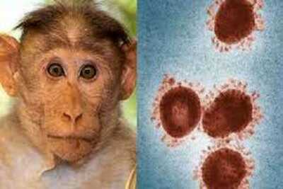 عکس, واکسن آبله میمون را بزنیم یا نه